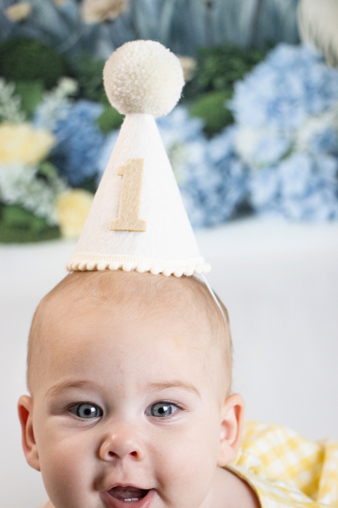 First birthday portrait with a one-year party hat